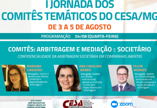dos Comitês Temáticos do CESA Seccional Minas Gerais